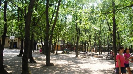 A tábor árnyas ősfás parkban van, fantasztikus levegővel :-)